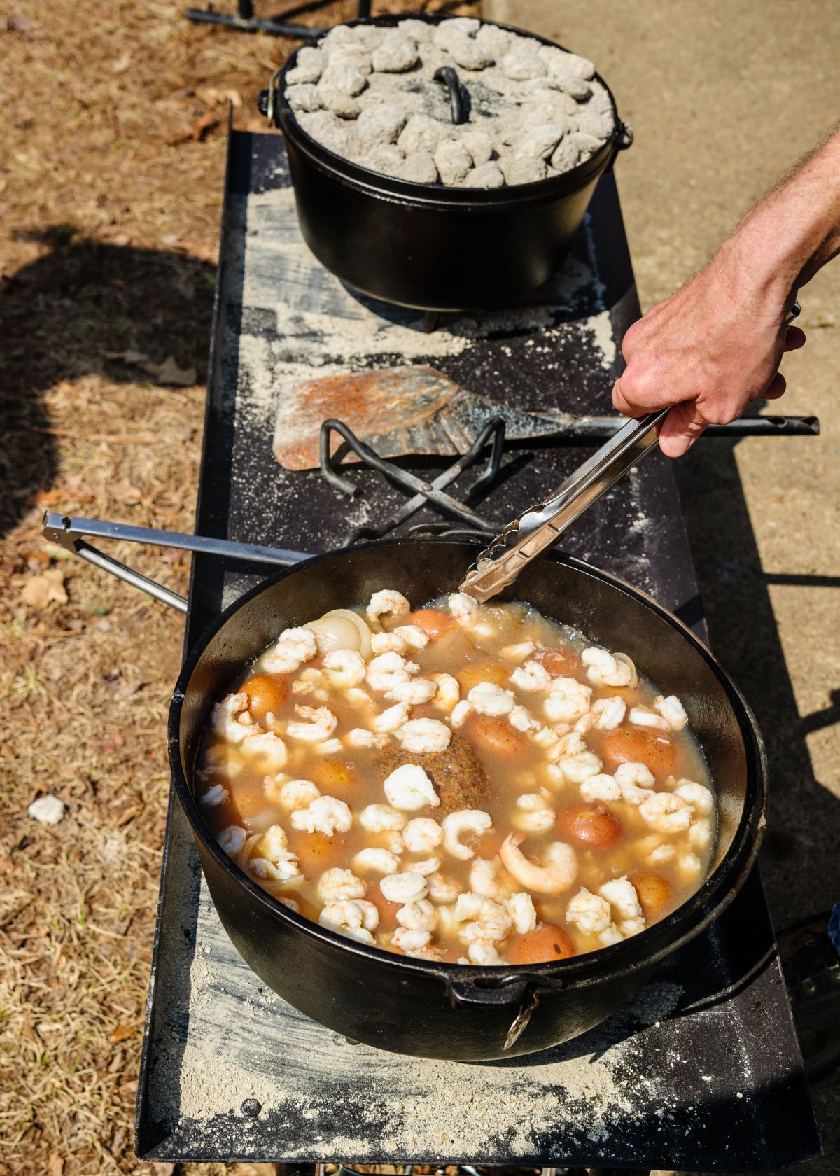 Best Dutch Oven for Camping