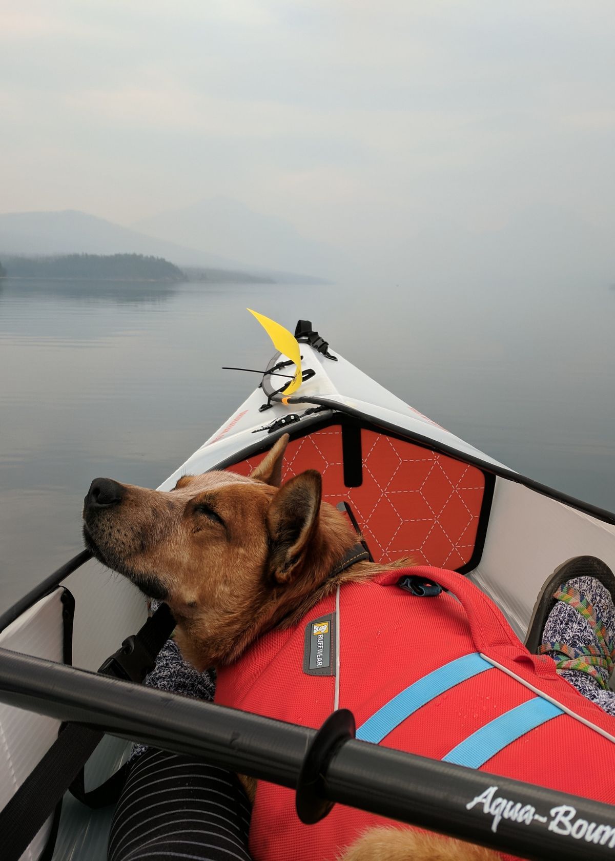 Best sit on top kayak 