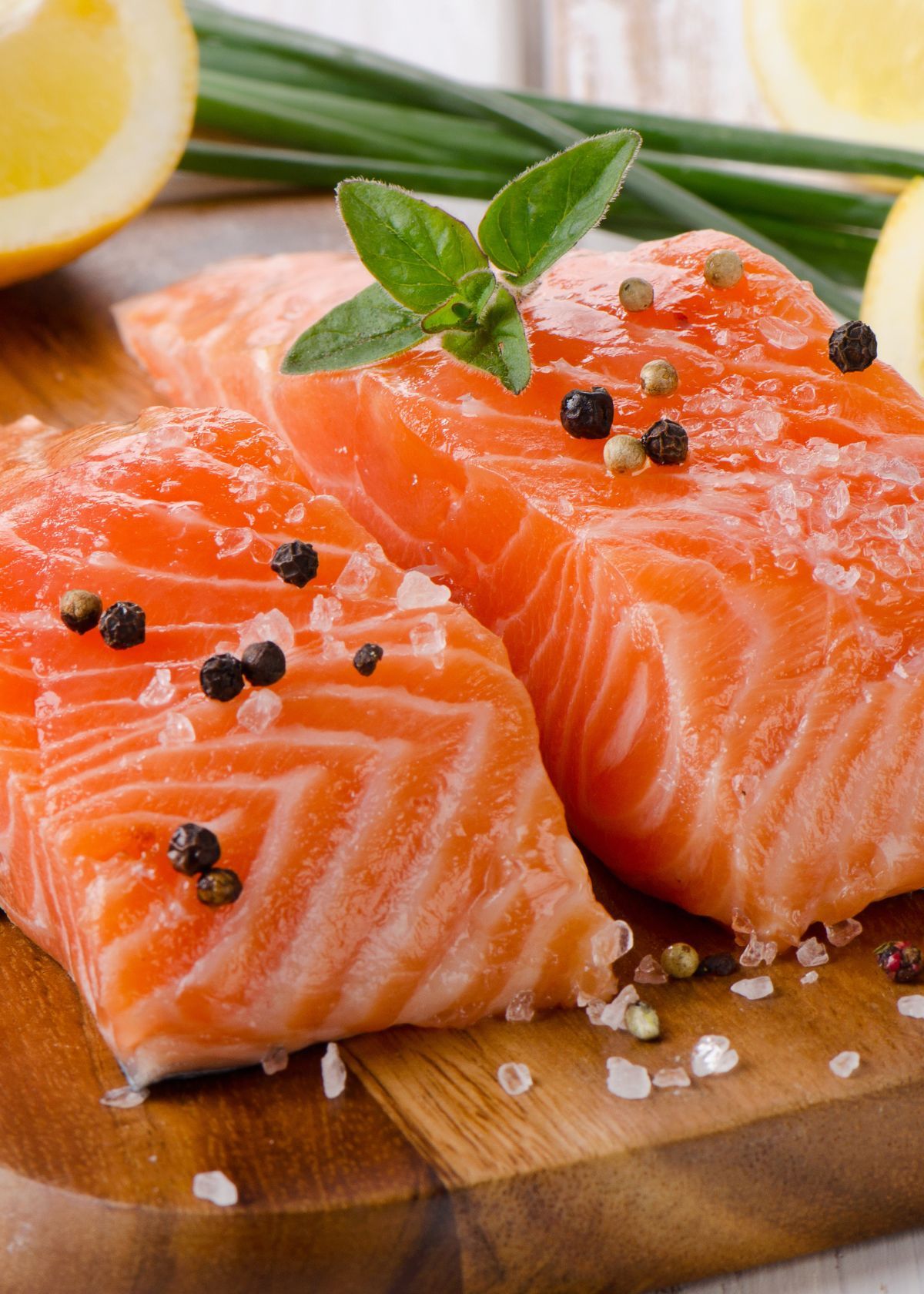 Best Canned Salmon for Dogs