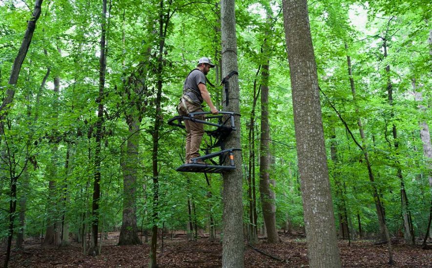 How To Use a Climbing Tree Stand